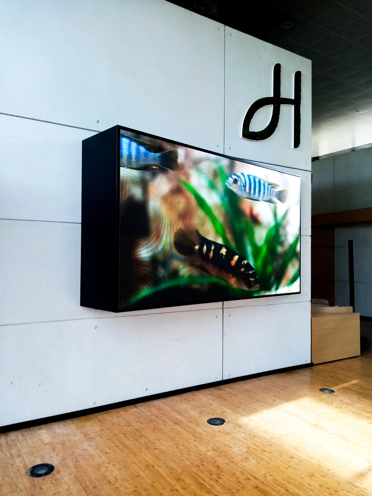 Écran LED Intérieur sur mesure