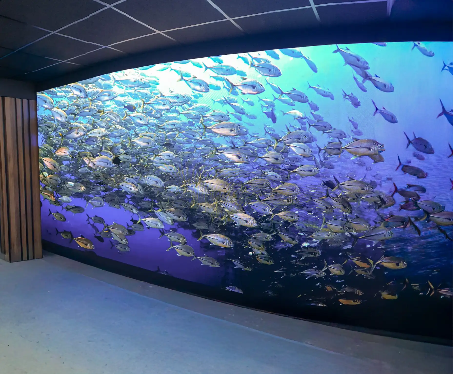 écran Mur LED géant intérieur